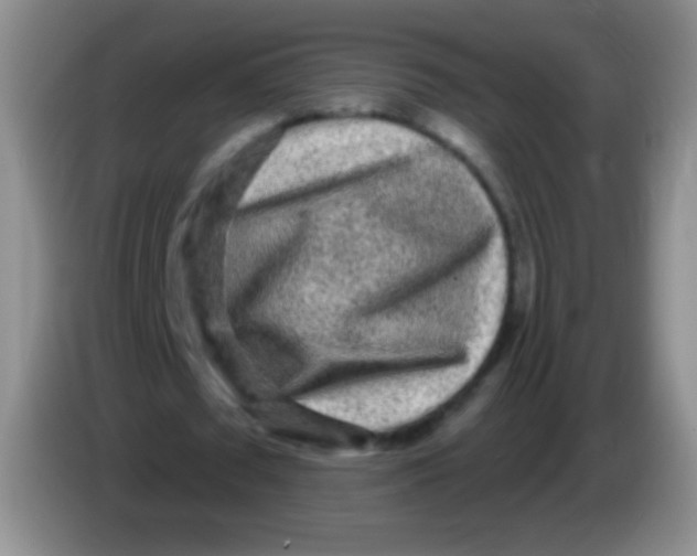 X0000083990673200703091846