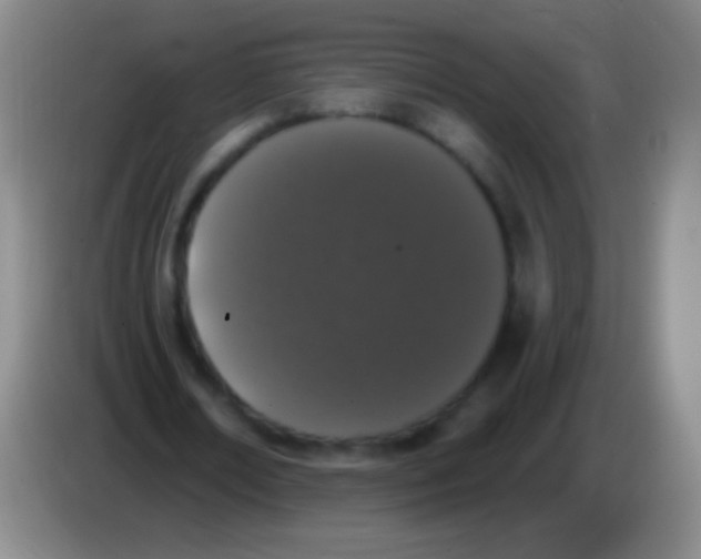 X0000083990674200703091846