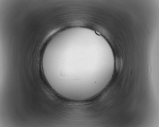 X0000083990675200703091846