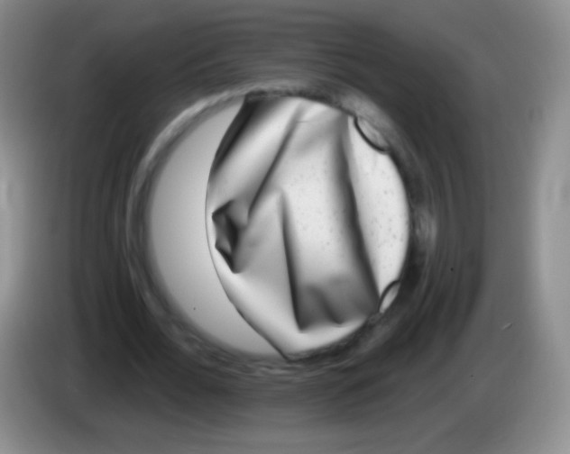 X0000083990676200703091846