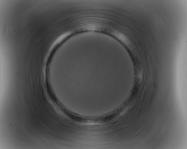 X0000083990678200703091846