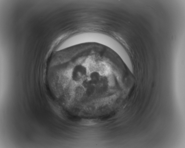 X0000083990679200703091846