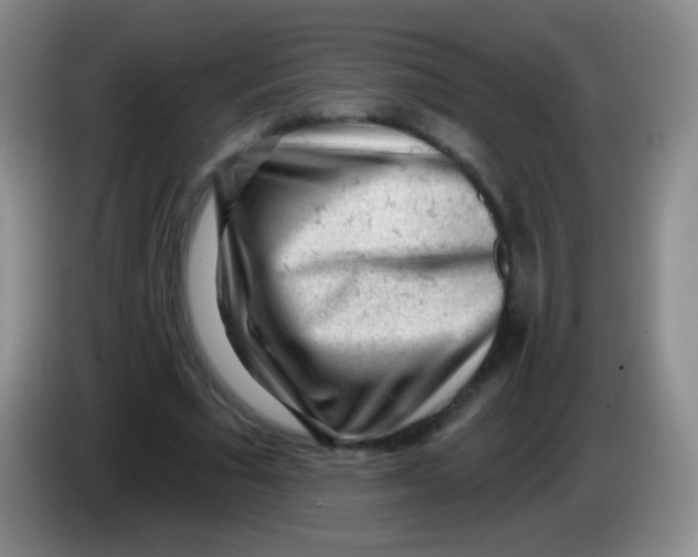 X0000083990681200703091846