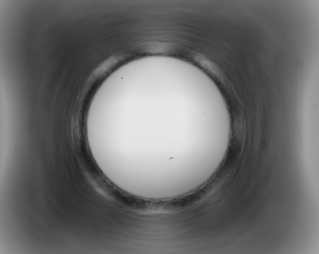 X0000083990682200703091846