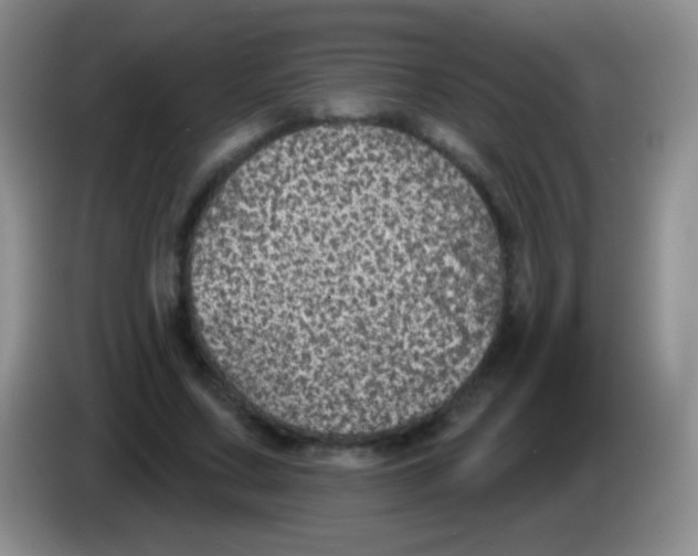 X0000083990683200703091846