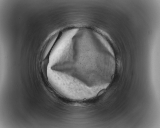 X0000083990684200703091846