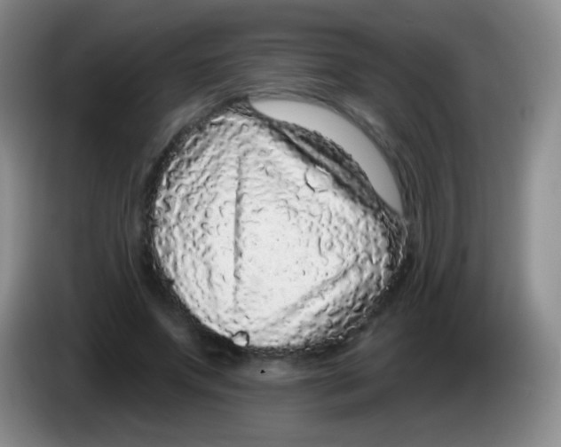 X0000083990687200703091846