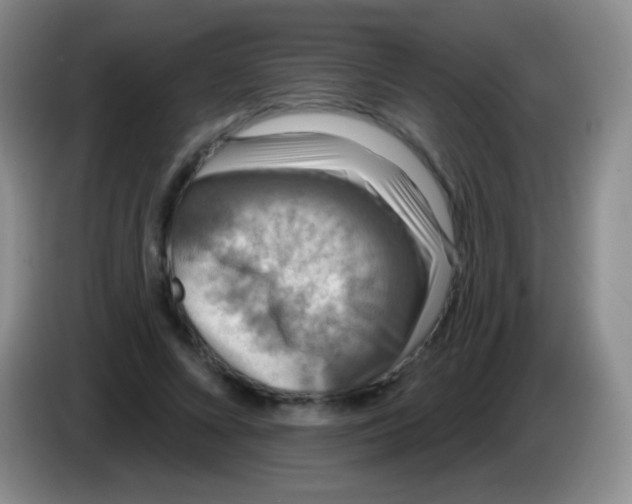 X0000083990688200703091845