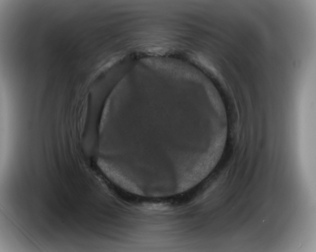 X0000083990689200703091845