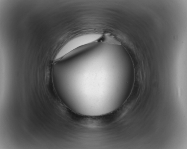 X0000083990697200703091845