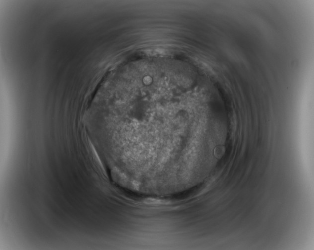 X0000083990699200703091845