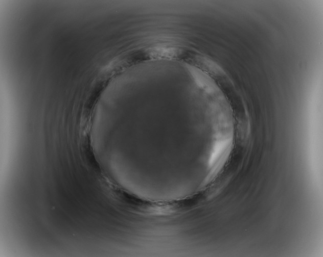 X0000083990701200703091845