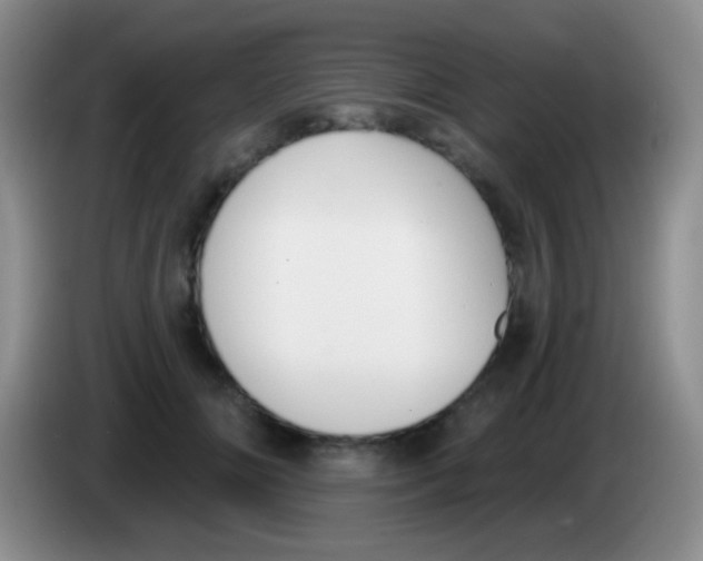 X0000083990702200703091845