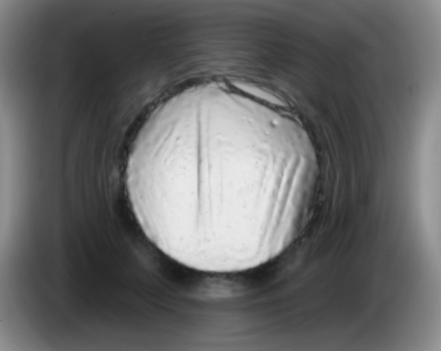 X0000083990703200703091845