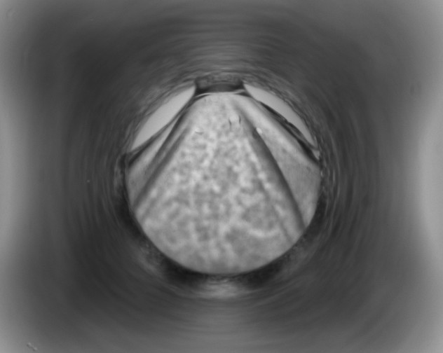 X0000083990704200703091845