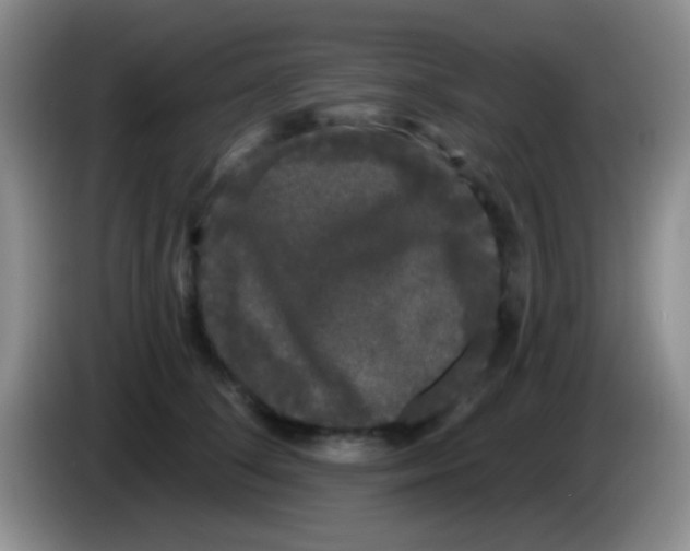 X0000083990708200703091845