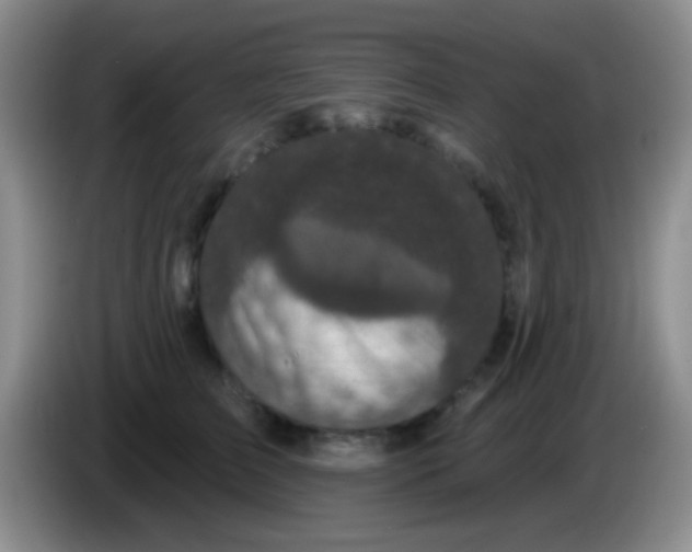 X0000083990709200703091845