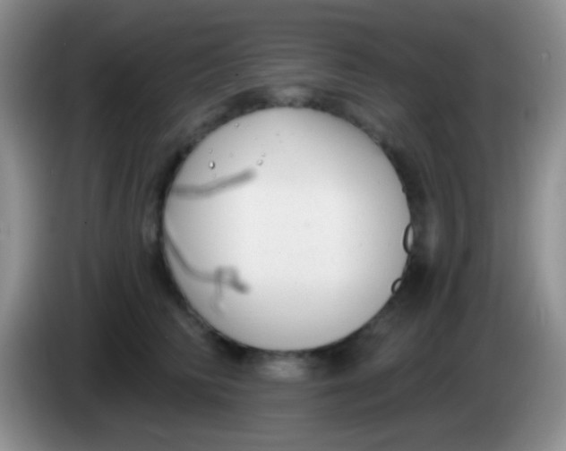 X0000083990710200703091845