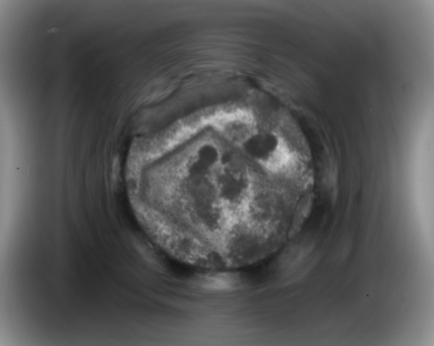 X0000083990711200703091845