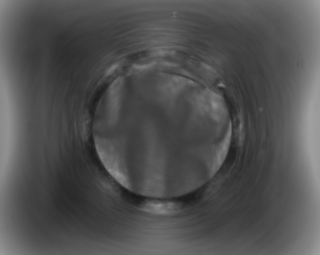 X0000083990712200703091845