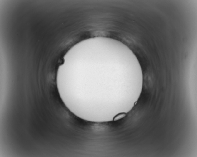 X0000083990714200703091845