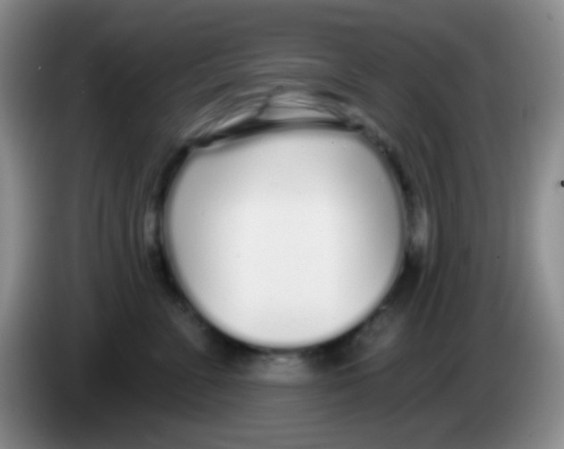 X0000083990715200703091845