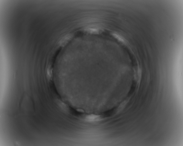 X0000083990718200703091845