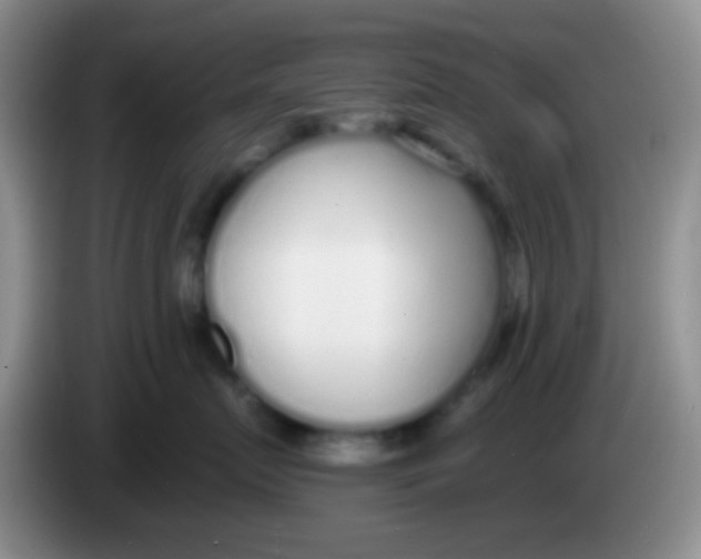 X0000083990719200703091845