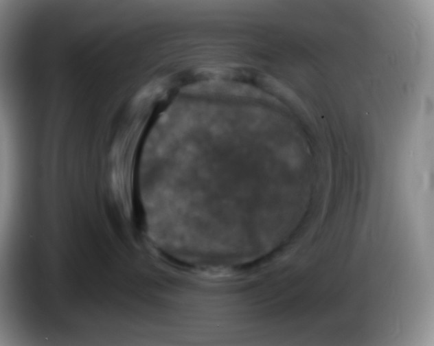 X0000083990720200703091845