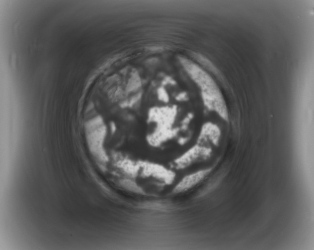 X0000083990721200703091844