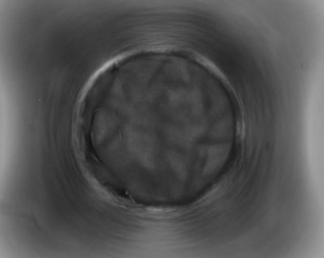 X0000083990724200703091844