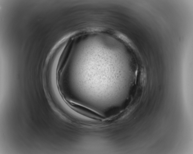 X0000083990726200703091844