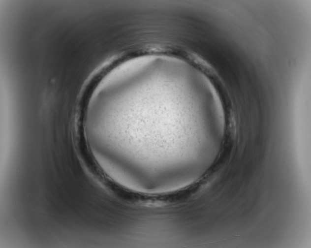 X0000083990730200703091845