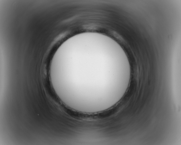 X0000083990731200703091845