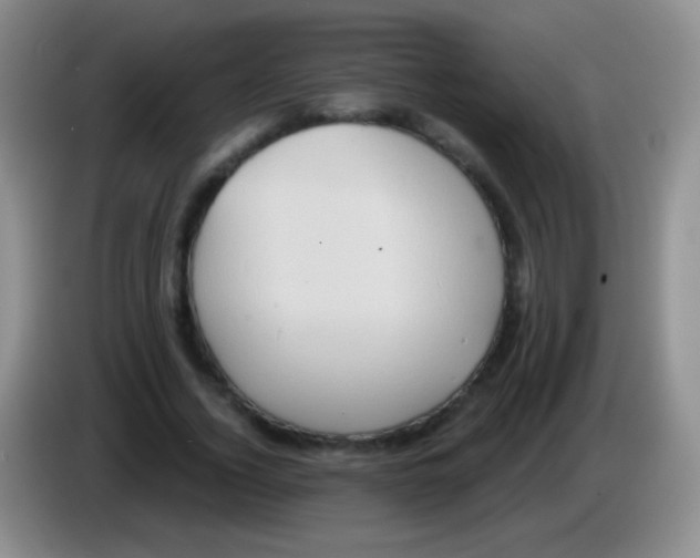 X0000083990732200703091845