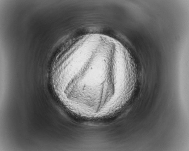 X0000083990733200703091845