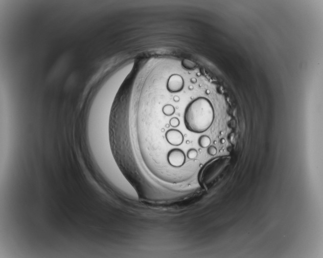 X0000083990734200703091845