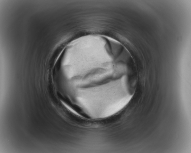 X0000083990735200703091845