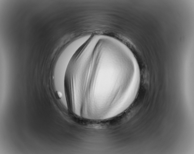 X0000083990738200703091845