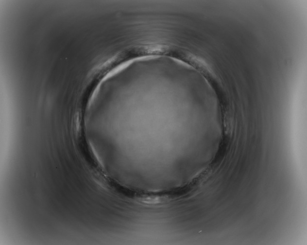 X0000083990740200703091845