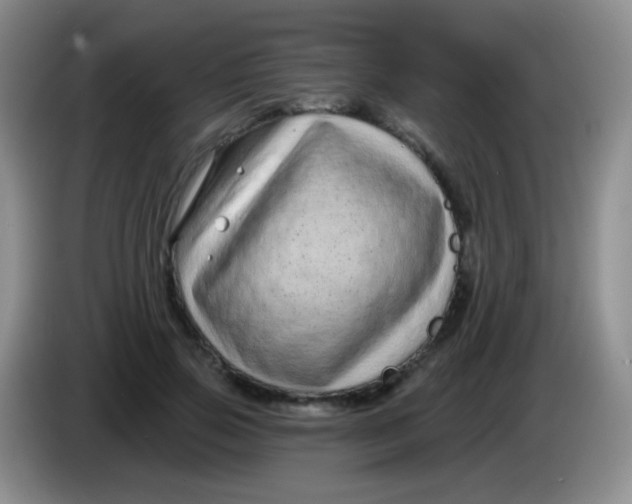 X0000083990741200703091845