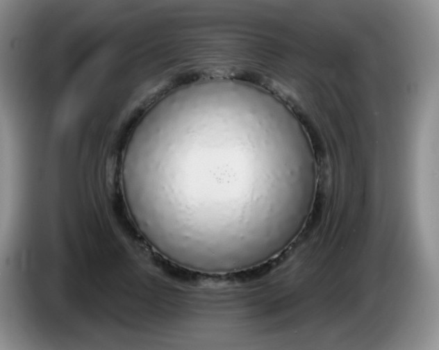 X0000083990742200703091845