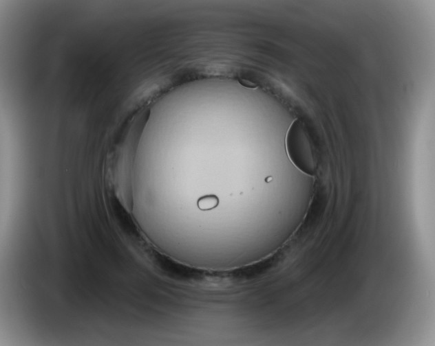 X0000083990744200703091845