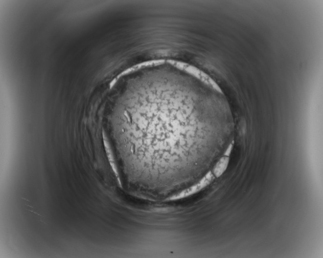 X0000083990746200703091845