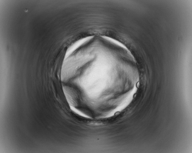 X0000083990749200703091845