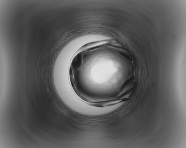 X0000083990750200703091845