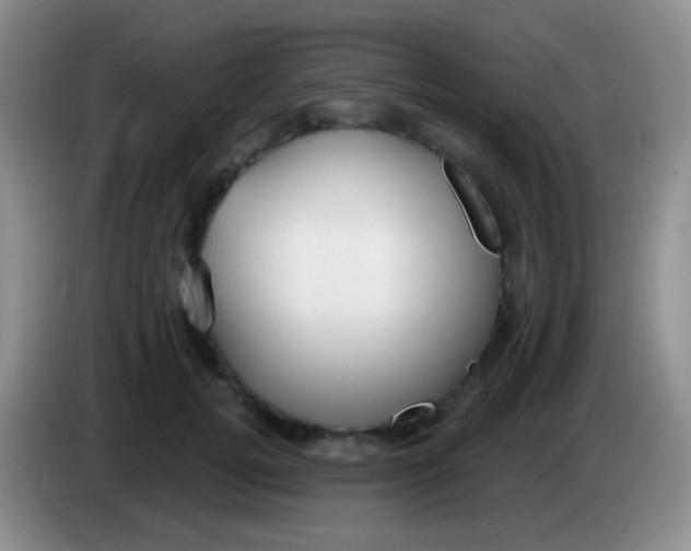 X0000083990752200703091845