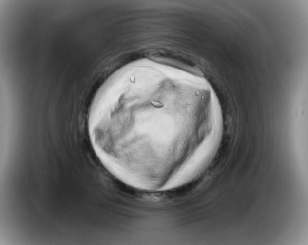 X0000083990753200703091845