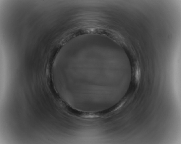 X0000083990754200703091845