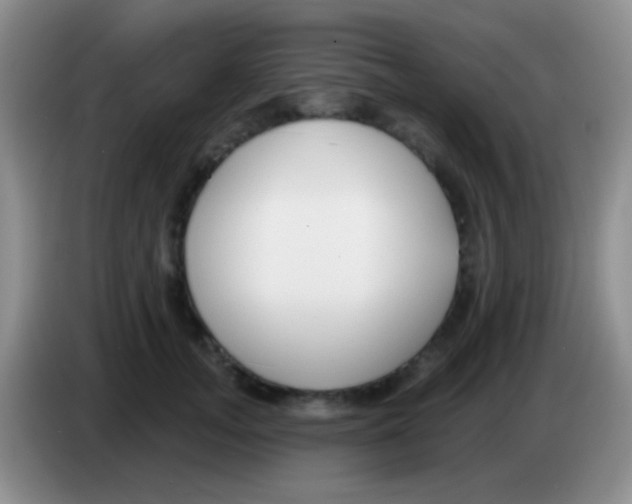 X0000083990755200703091845